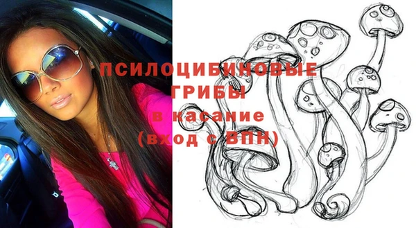стафф Армянск