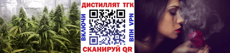 закладка  Сурск  ТГК Wax 